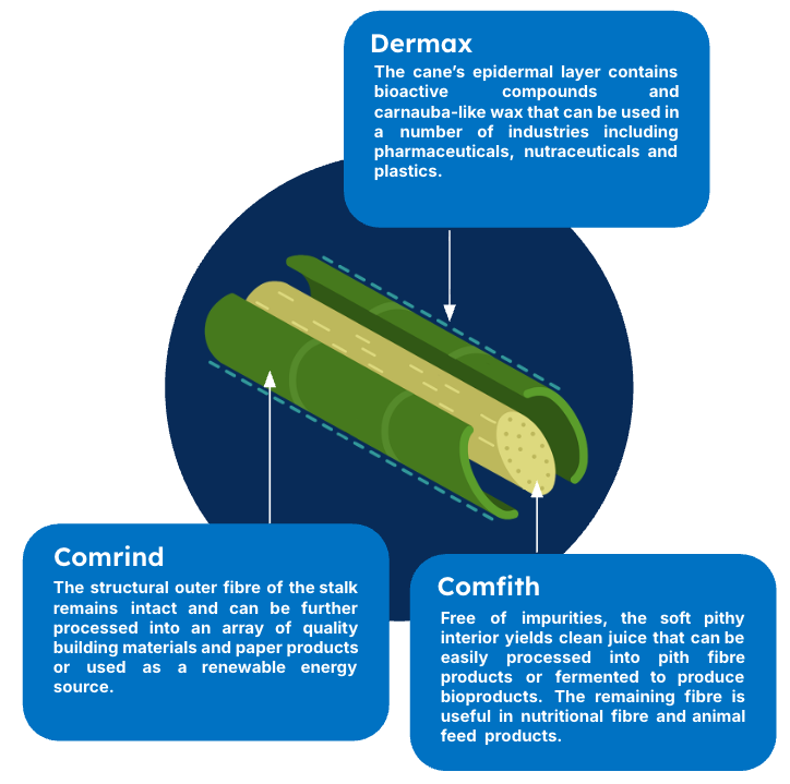 Sugarcane cross-section showing the Dermax, Comrind and Comfith fractions